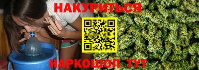 гашик Дубна