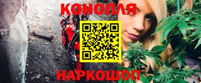 гашик Дубна