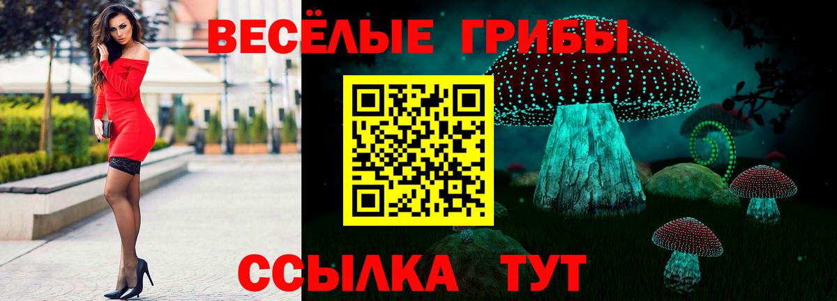 Галлюциногенные грибы мухоморы  Вход с VPN  Людиново  Псилоцибиновые грибы MAGIC MUSHROOMS 